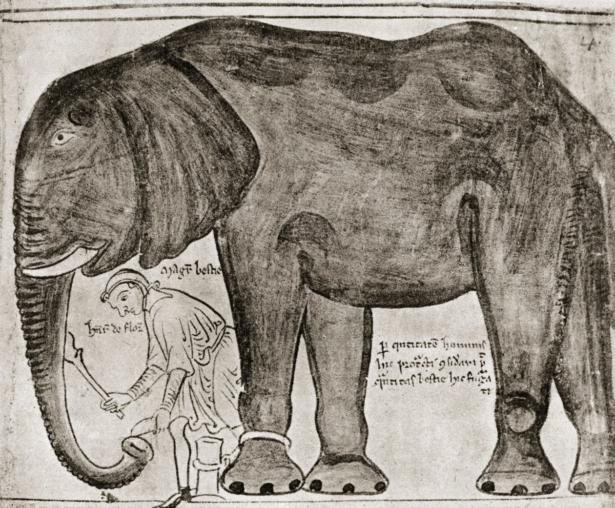 Elefant skickad av St Louis till Henry III, från "Historia Major", återgiven i "English Historians av English School