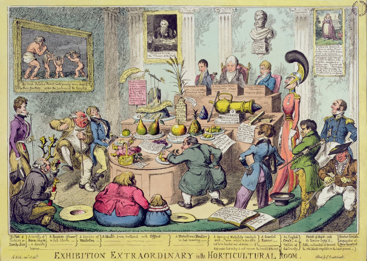 Exhibition Extraordinary in the Horticultural Room, etsad av George Cruikshank (1792-1878), pub. av G. Humphrey, 1826 (färgad etsning) av English School