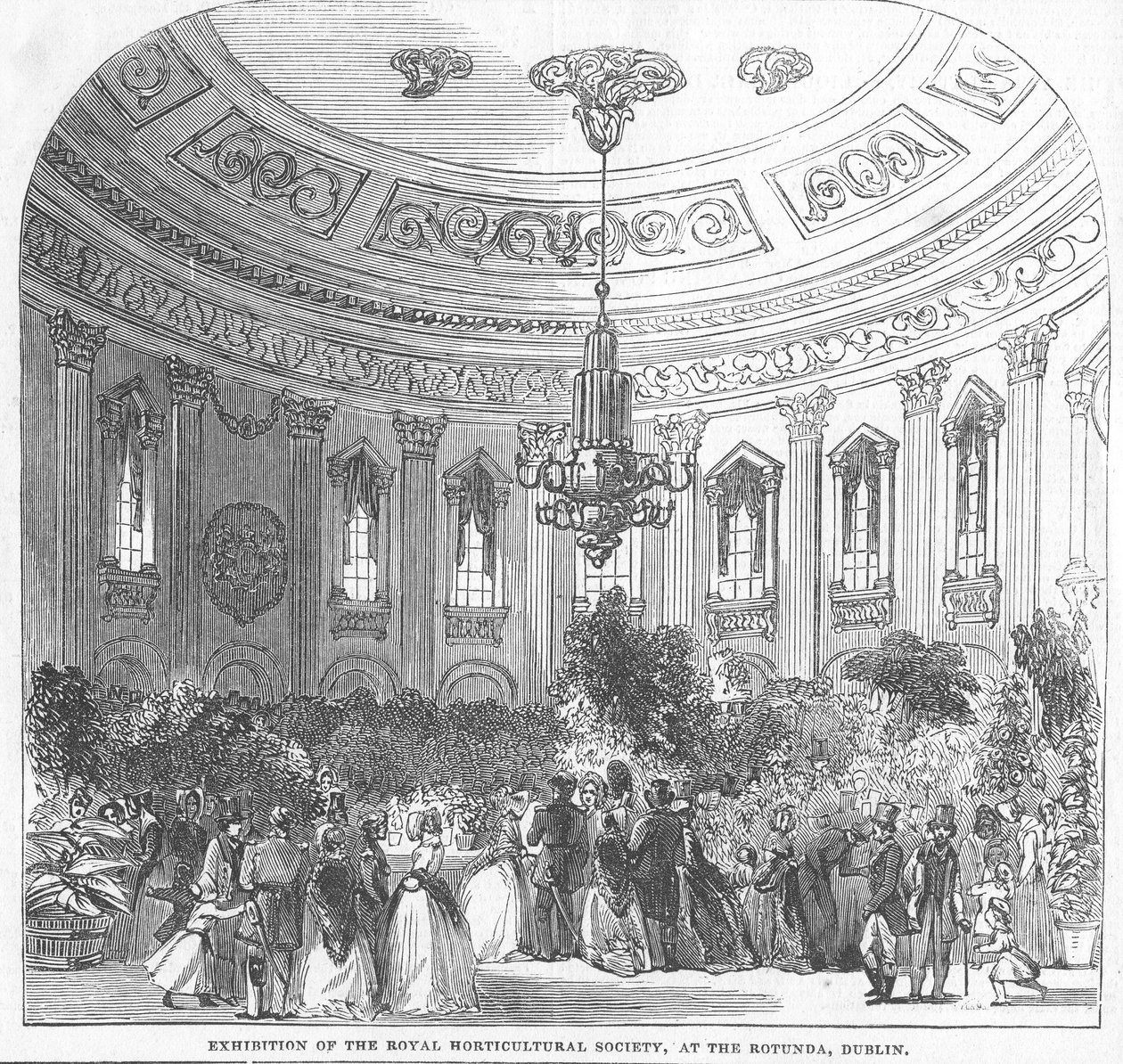 Utställning av Royal Horticultural Society i Rotunda, Dublin, illustration från "The Illustrated London News", 1854. av English School