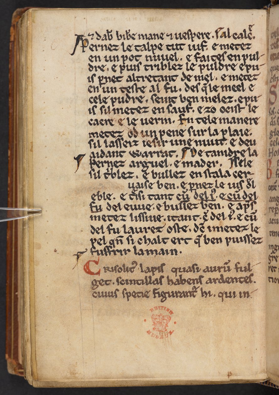 Utdrag ur Henry of Huntingdons Historia Anglorum, Cotton MS Titus D XXIV, f.132v (pergament) av English School