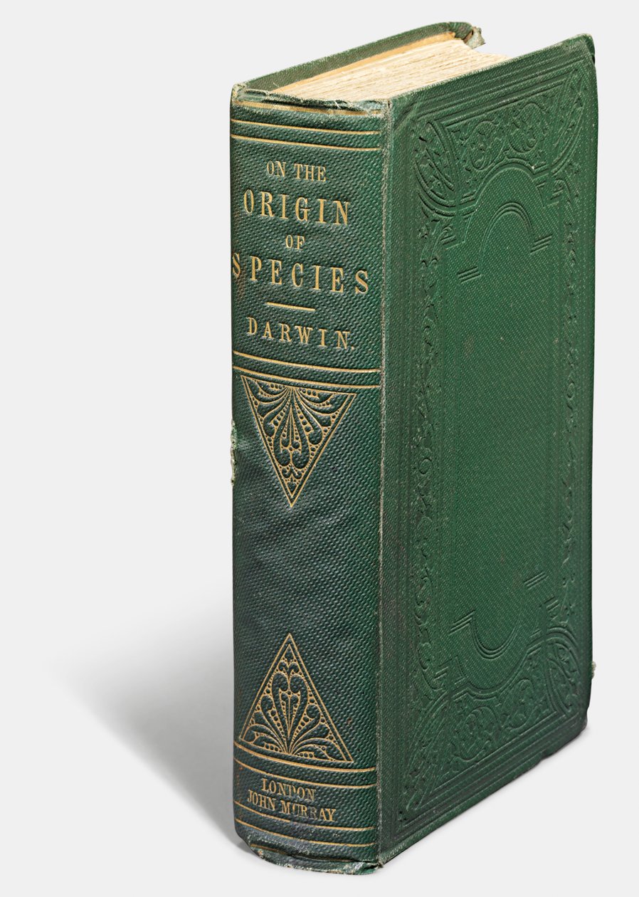 Första upplagan av "On the Origin of Species by Means of Natural Selection" av Charles Darwin, London: John Murray av English School