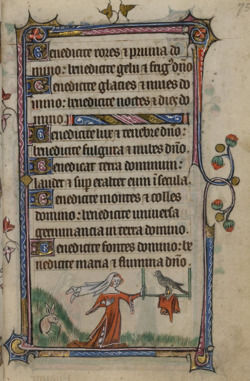 Folio 75 Illustration från 