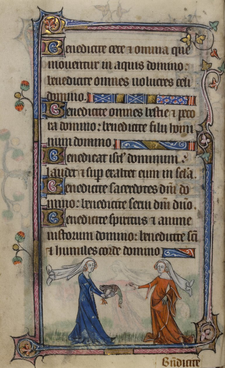 Folio 75v Illustration från 