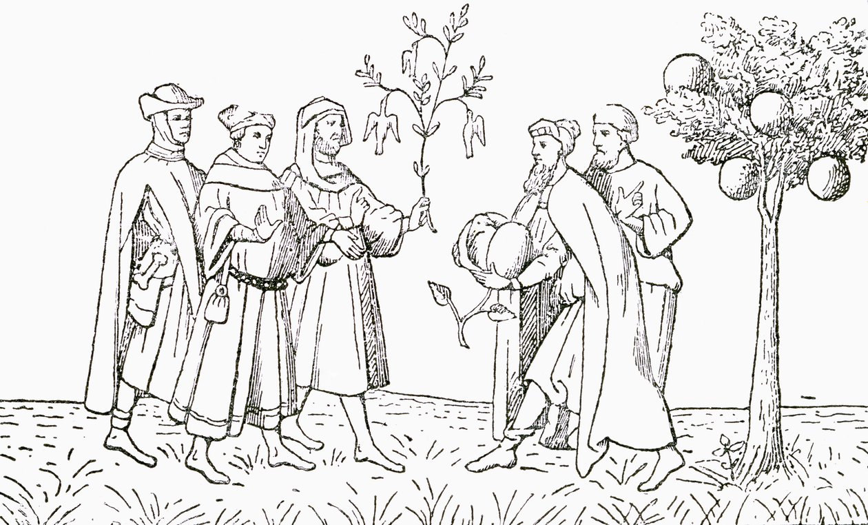 Friar Odoric av Pordenone som håller en gren från ett träd som fåglar växer på, visas i tur och ordning av den lokala kungen, Tartarys lammträd, som visar ett lamm som växer fram, illustration från The Strand Magaz av English School