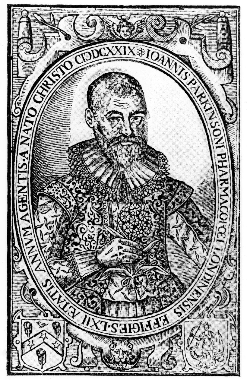 Frontispice for Paradisi in Sole Paradisus Terrestris av John Parkinson, publicerad 1629 av English School