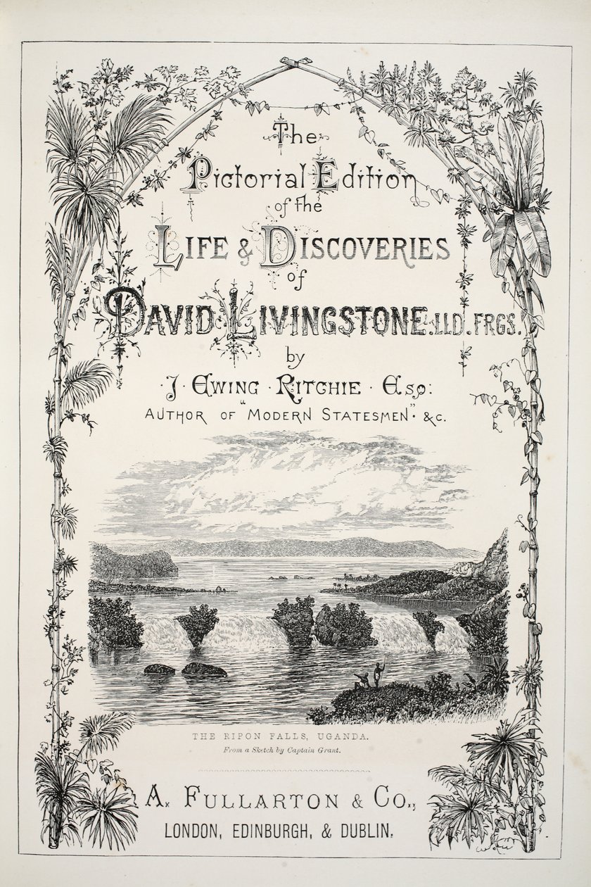 Frontispice från The Pictorial Edition of the Life and Discoveries of David Livingstone av J. Ewing Richie, pub. av A. Fullarton & Co., 1876 av English School