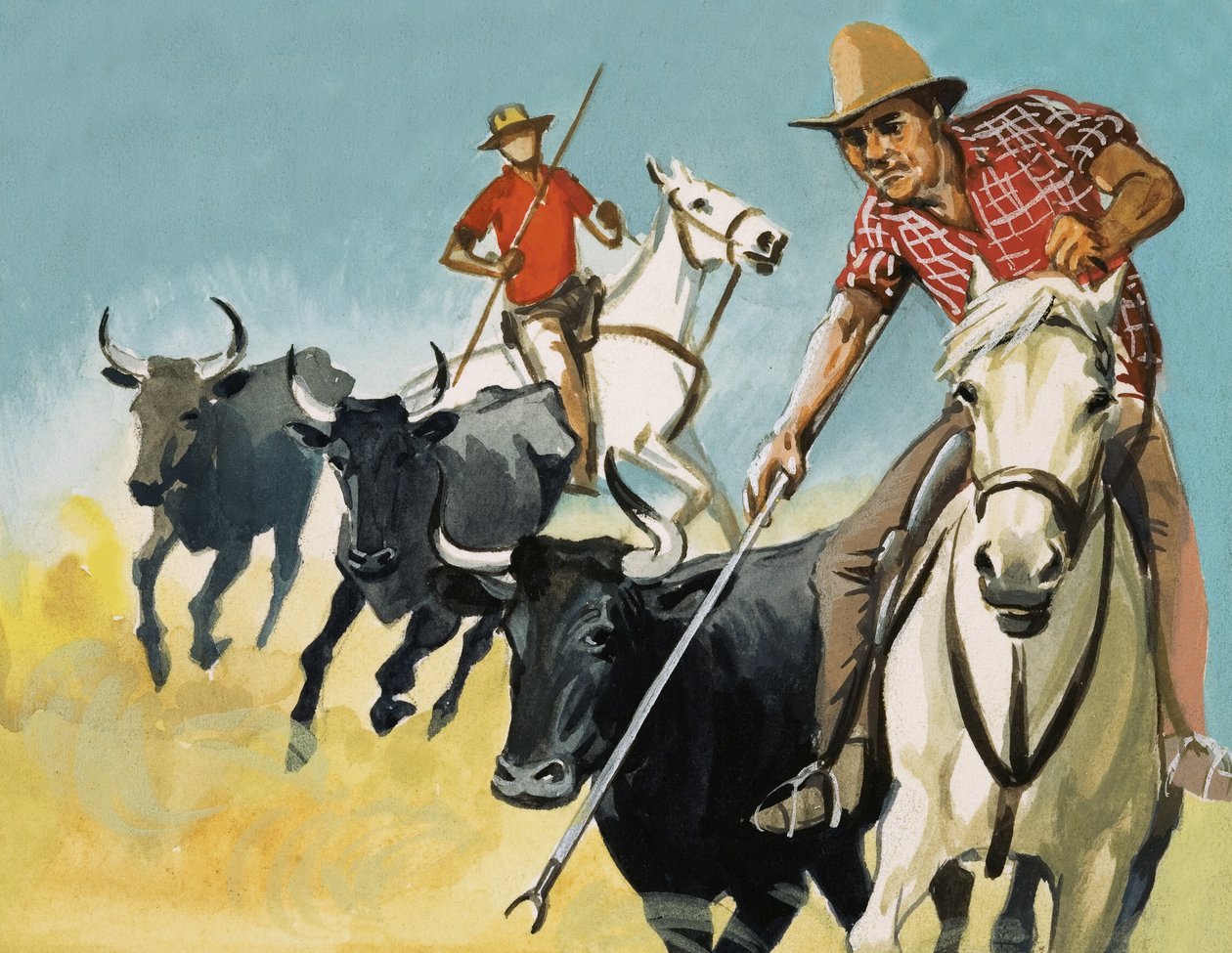 Gardians i Camargue av English School