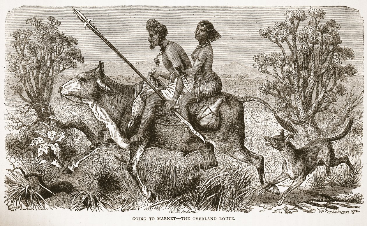 Går till marknaden - landvägen, illustration från The Pictorial Edition of the Life and Discoveries of David Livingstone av J. Ewing Richie, pub. av A. Fullarton & Co., 1876 av English School