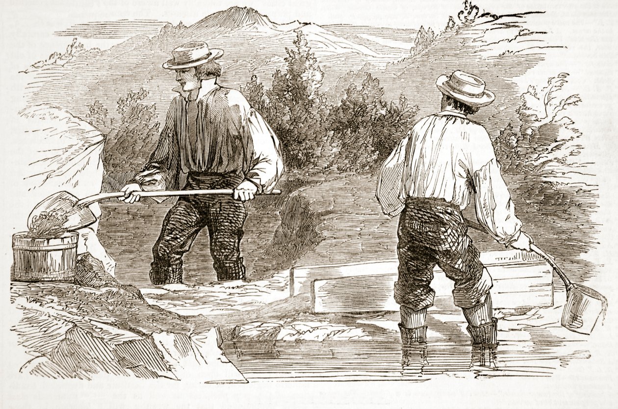 Gold-washing at the Diggings, från The Illustrated London News, 1849 av English School