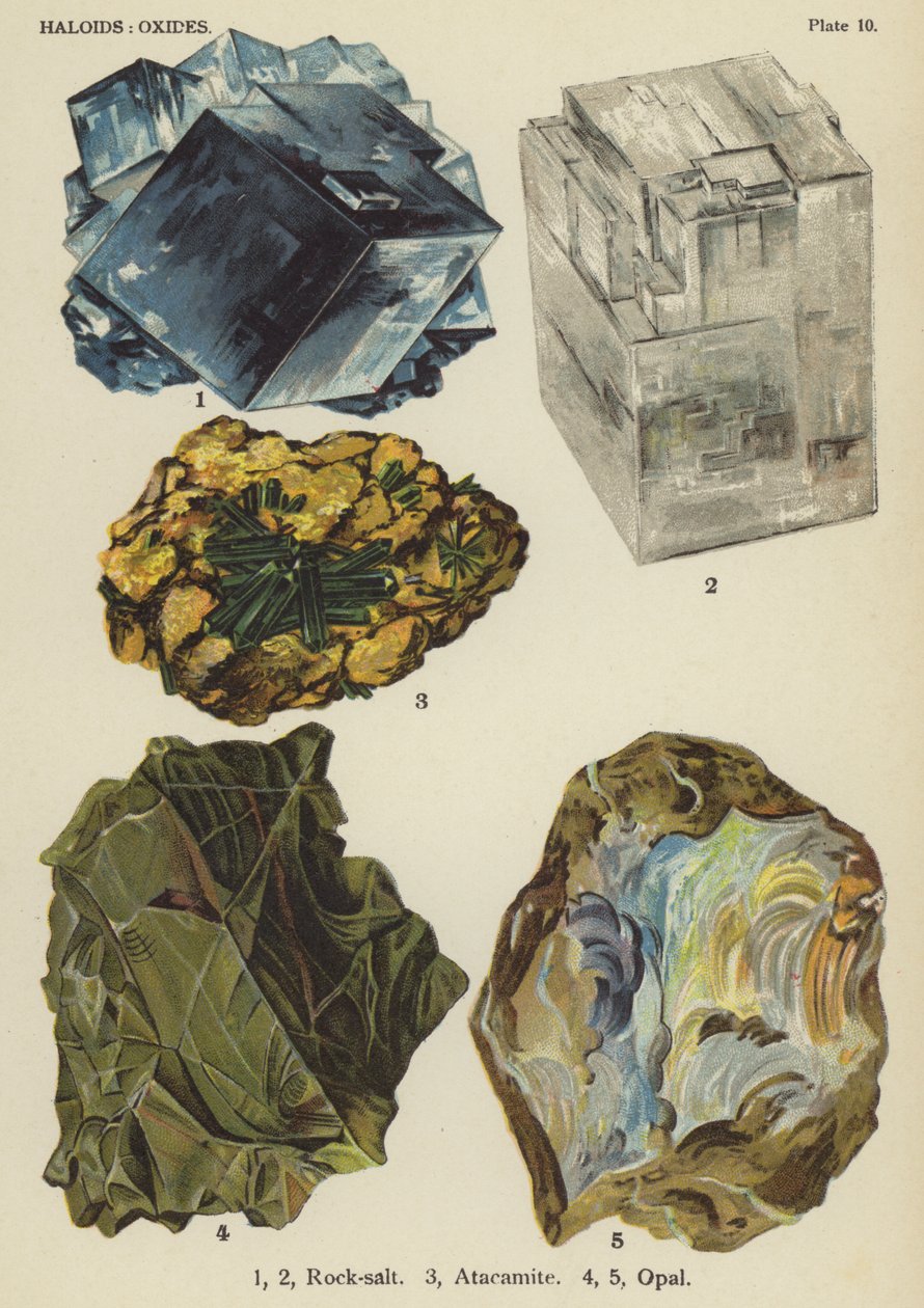 Haloider, oxider, stensalt, atacamit, opal (färglitografi) av English School