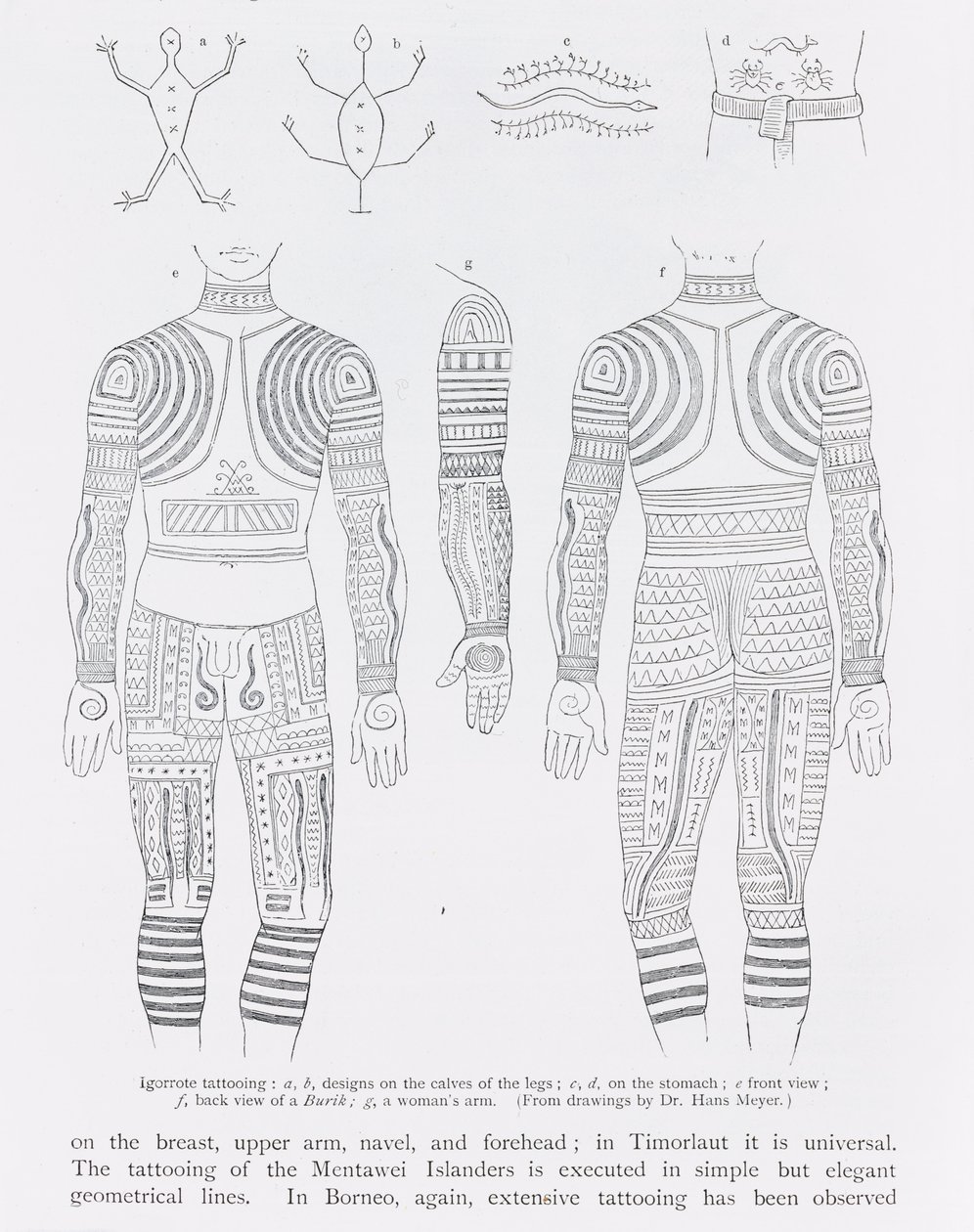 Igorrote tattooing, från 