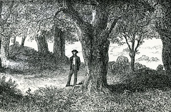 Illustration från 