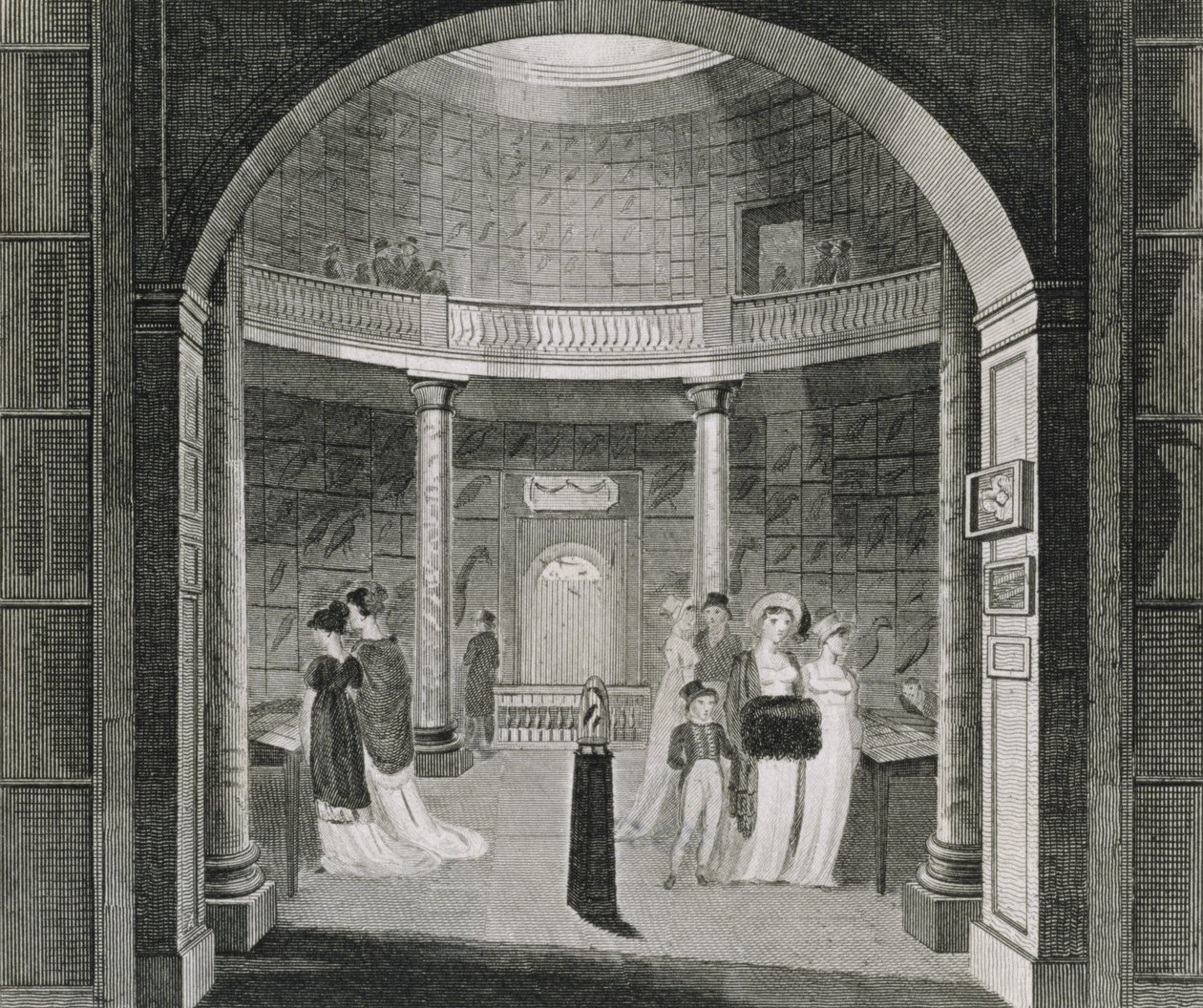 Interiörvy av Leverian-museet, 1806 av English School