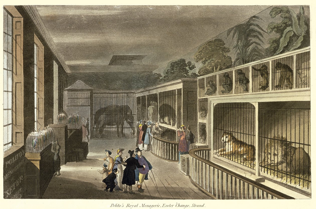Interiörvy av Politos Royal Menagerie, Exeter Change, Strand, 1812 (akvatint) av English School
