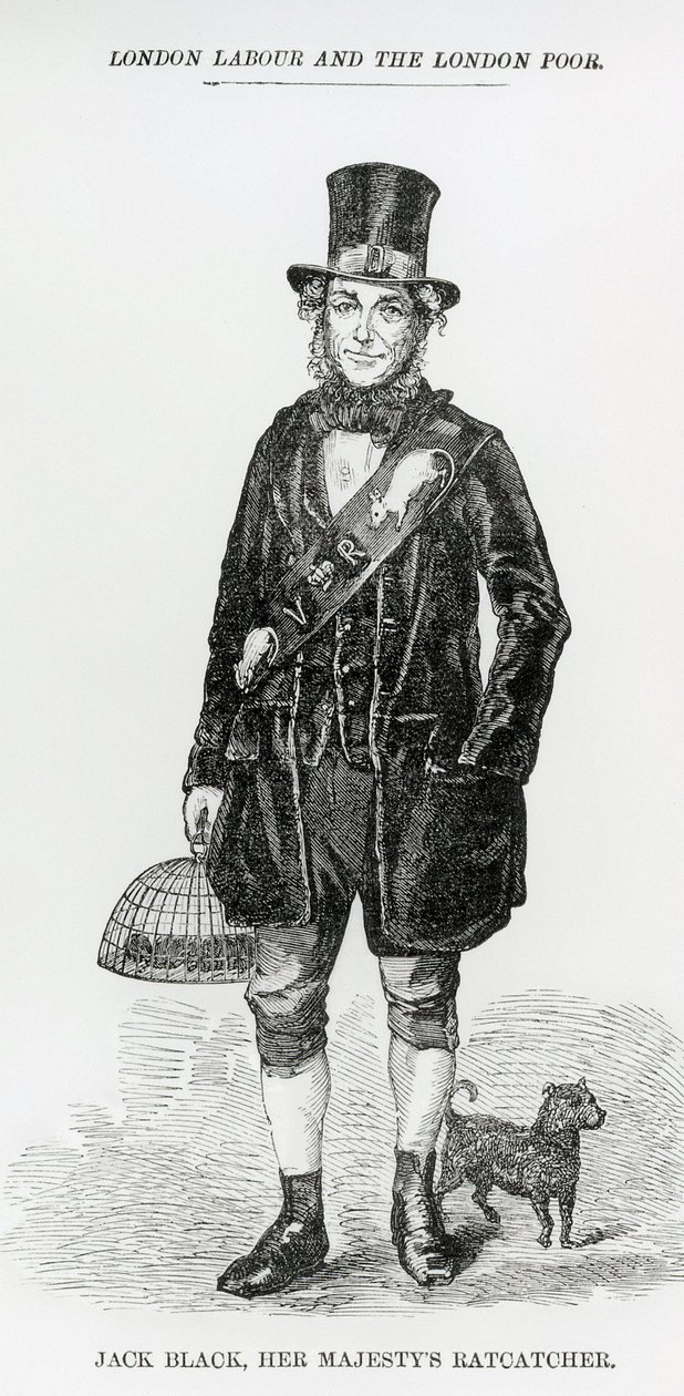 Jack Black, Her Majestys Ratcatcher, c.1840 av English School