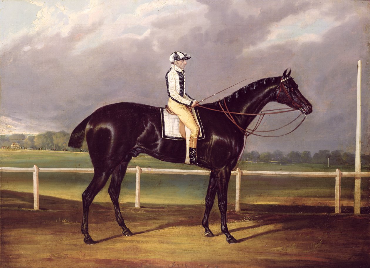 Jerry, vinnare av St. Leger 1824 (olja på duk) av English School