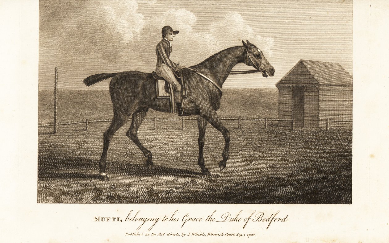 Jockey på den hyllade fullblodsracaren Mufti, tillhörande hans nåd hertigen av Bedford av English School
