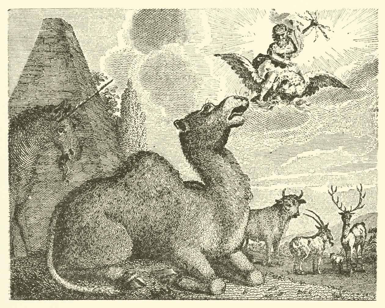 Jupiter och kamelen (gravyr) av English School