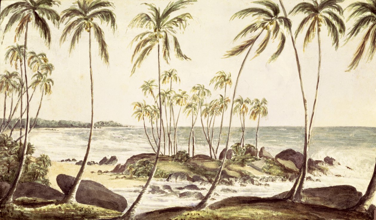 Kosgoda Beach, Ceylon, ca 1835 (wc på papper) av English School