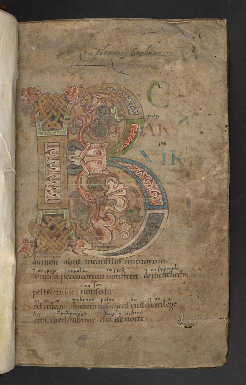 Stor initial med beast-head terminals, interlace och bladdekor i rosa, orange, gult, grönt och blått (vellum) av English School