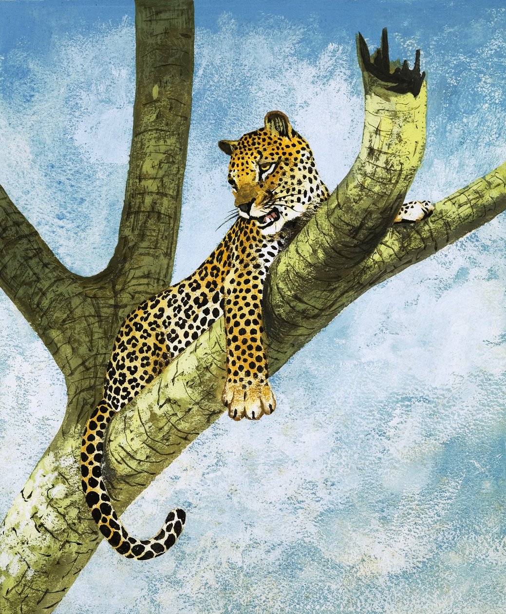 Leopard i ett träd (gouache på papper) av English School