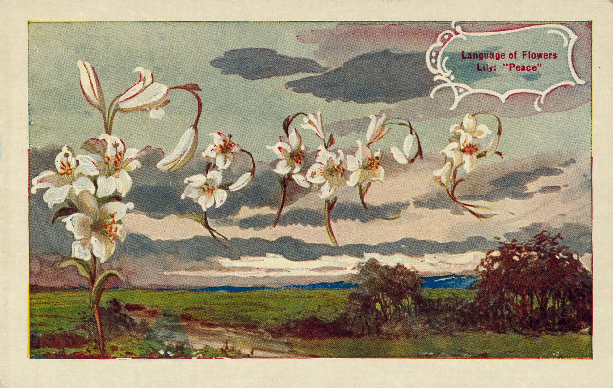 Lilja betyder fred på blommornas språk (färglitografi) av English School