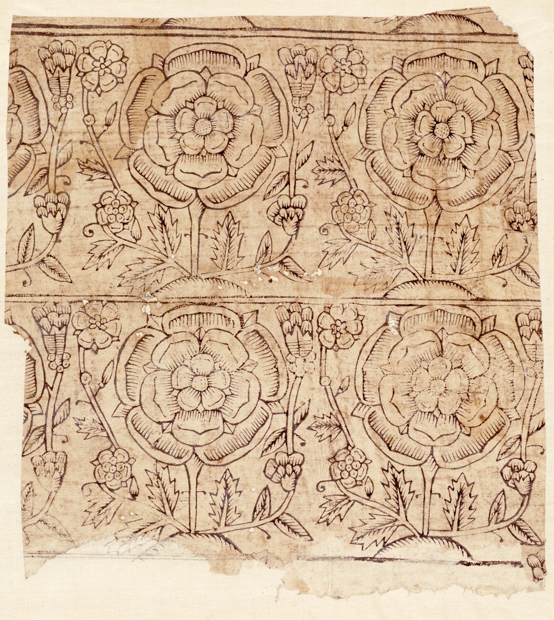 Foderpapper med ett Tudor Rose-mönster, ca 1550 (träblockstryck) av English School