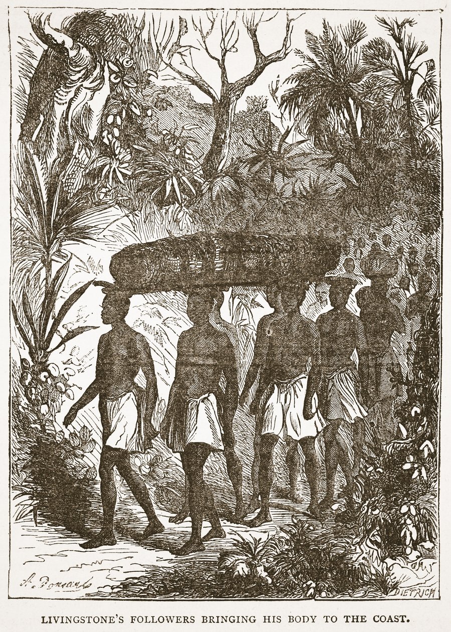 Livingstones anhängare som tar hans kropp till kusten, illustration från The Pictorial Edition av David Livingstones liv och upptäckter av J. Ewing Richie, pub. av A. Fullarton & Co., 1876 (li av English School