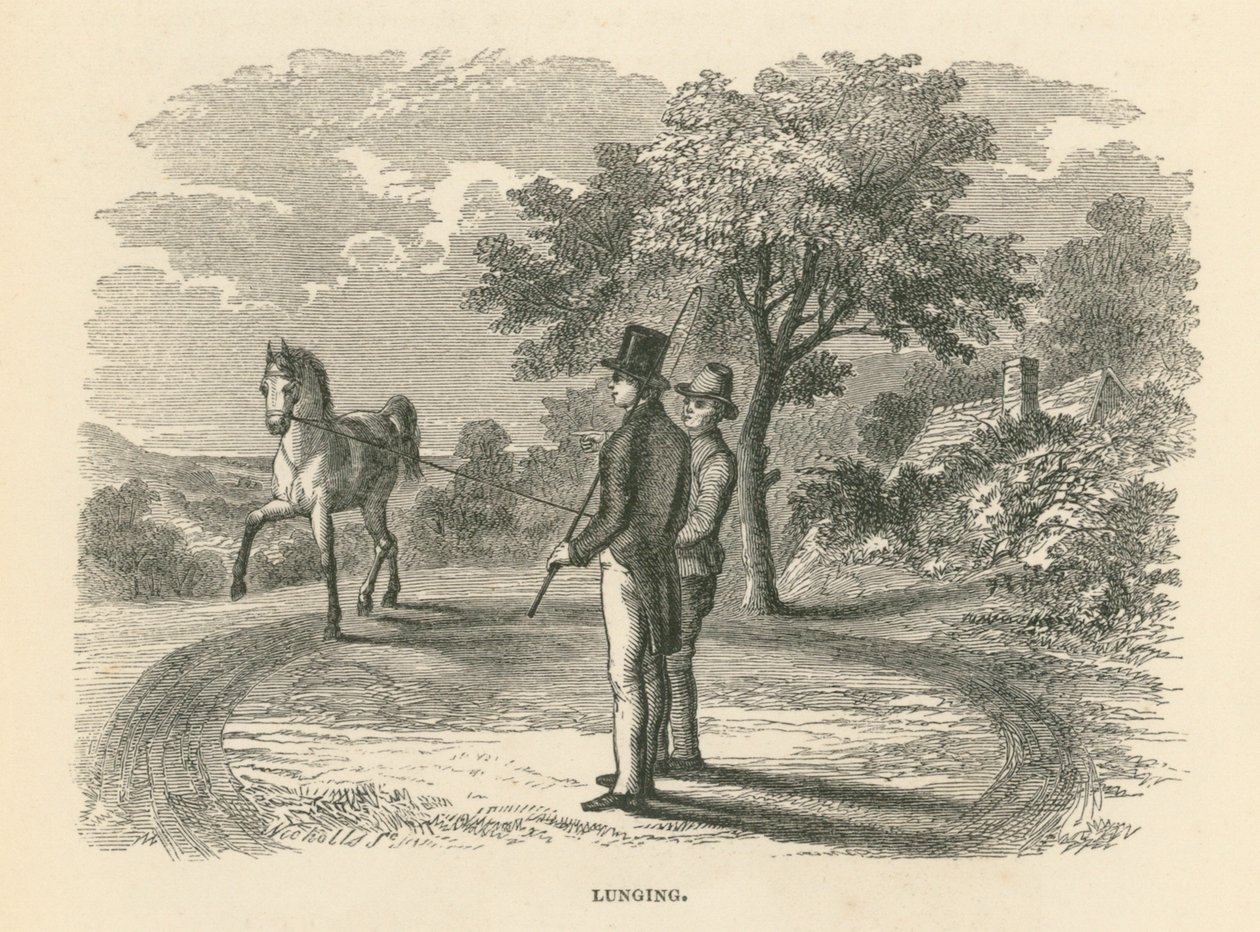 Lunging (gravyr) av English School