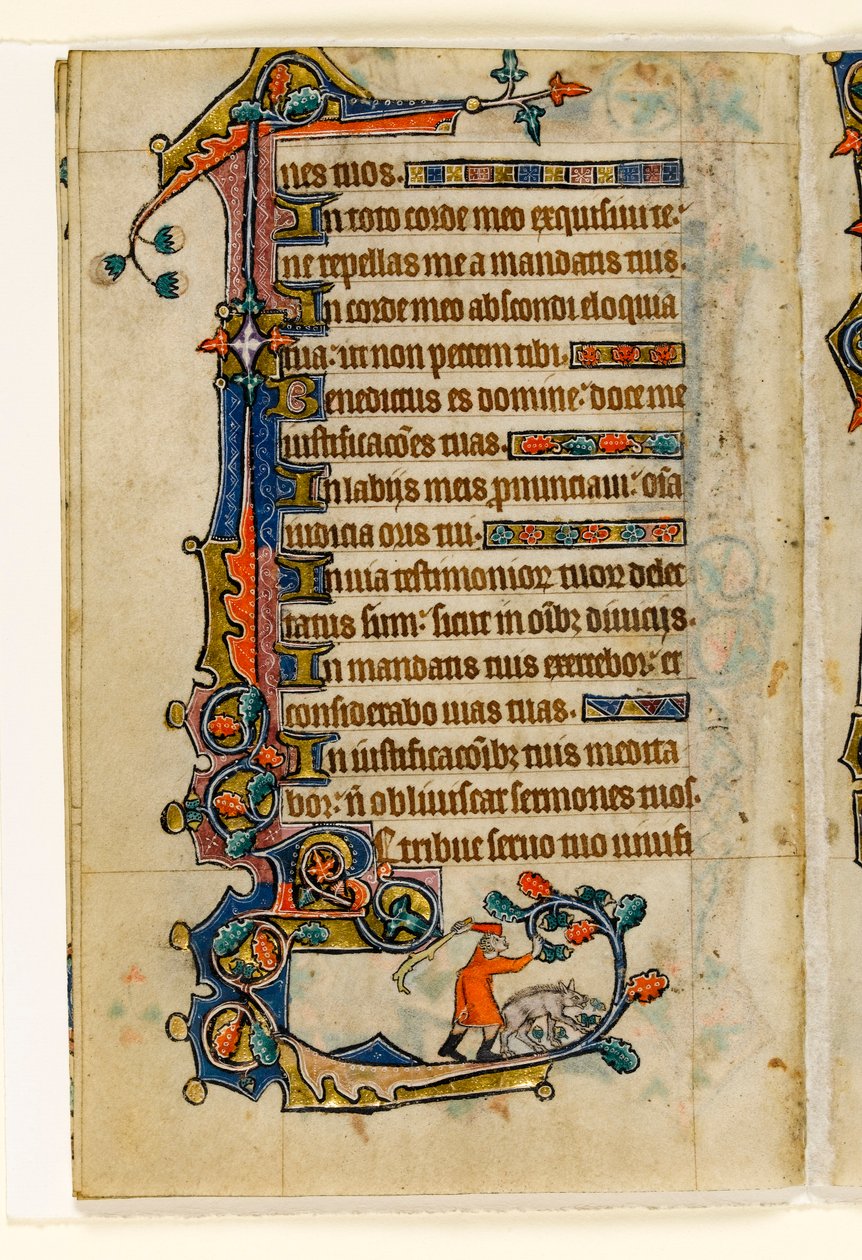 MS 1-2005, fol. 170v: En svinhjord slår ner ekollon för en gris, marginaldekoration från Macclesfield Psalter, Use of Sarum, East Anglia, ca 1330 av English School