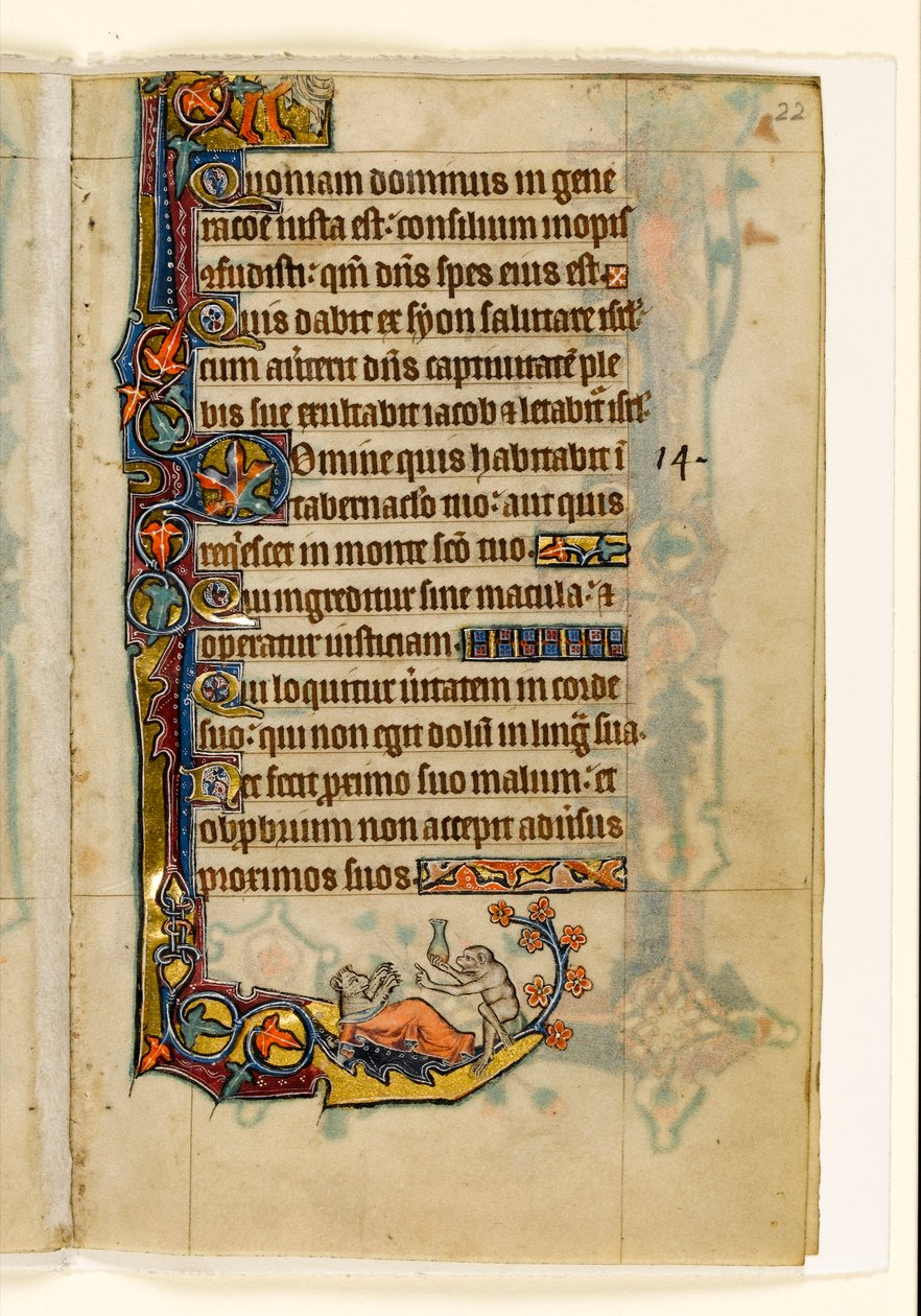 MS 1-2005, fol. 22r: Apdoktorn och hans björnpatient, marginaldekoration från Macclesfield Psalter, Use of Sarum, East Anglia, c.1330 av English School
