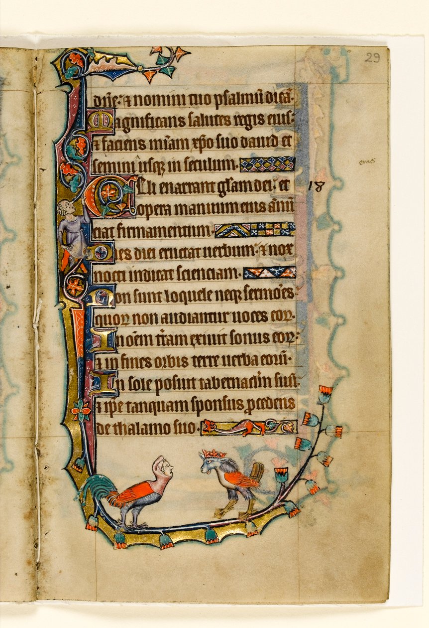 MS 1-2005, fol. 29r: Two Bird like grotesques, marginaldekoration från Macclesfield Psalter, Use of Sarum, East Anglia, ca 1330 av English School