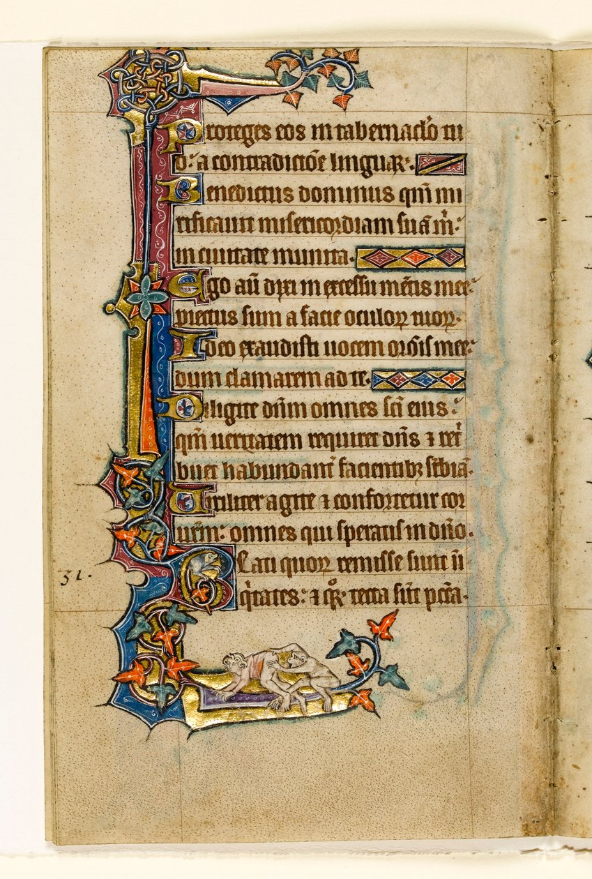 MS 1-2005, fol. 45v: An Ape peering in a Mans Bottom, marginaldekoration från Macclesfield Psalter, Use of Sarum, East Anglia, c.1330 av English School