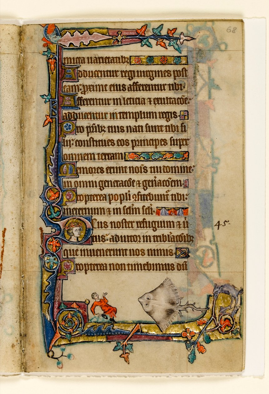 MS 1-2005, fol. 68r: The Giant Skate, marginaldekoration från Macclesfield Psalter, Use of Sarum, East Anglia, c.1330 av English School