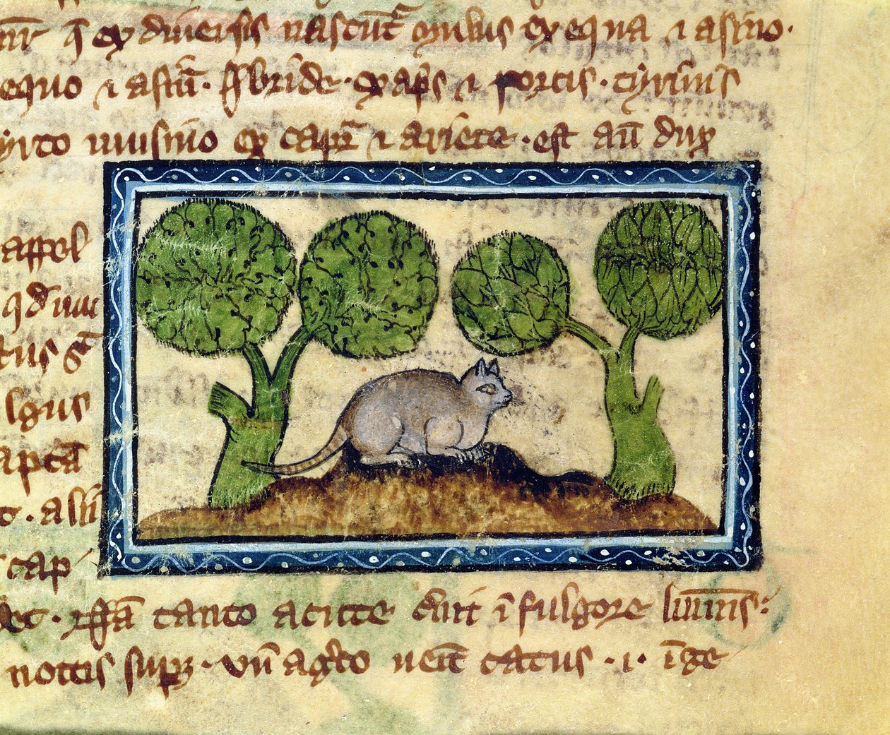 MS 379 f.12r En katt som hukar på en jordhög, detalj ur en bestiarium, engelska av English School