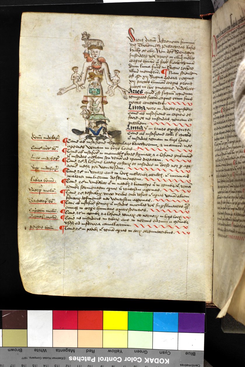 MS Hunter 251 f.47v, illustration av en 