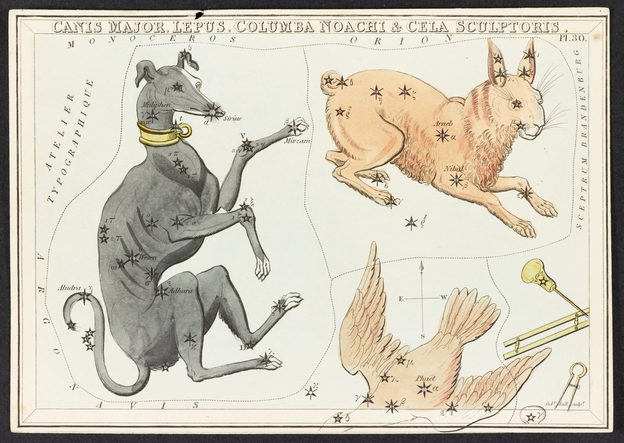 Kartor C.44.A.42 Canis Major Lepus, från 