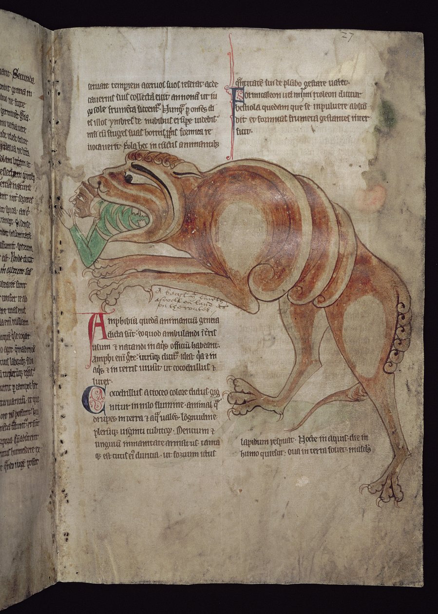Ms.254 f.24 r Cocodrillus sväljer en man av English School