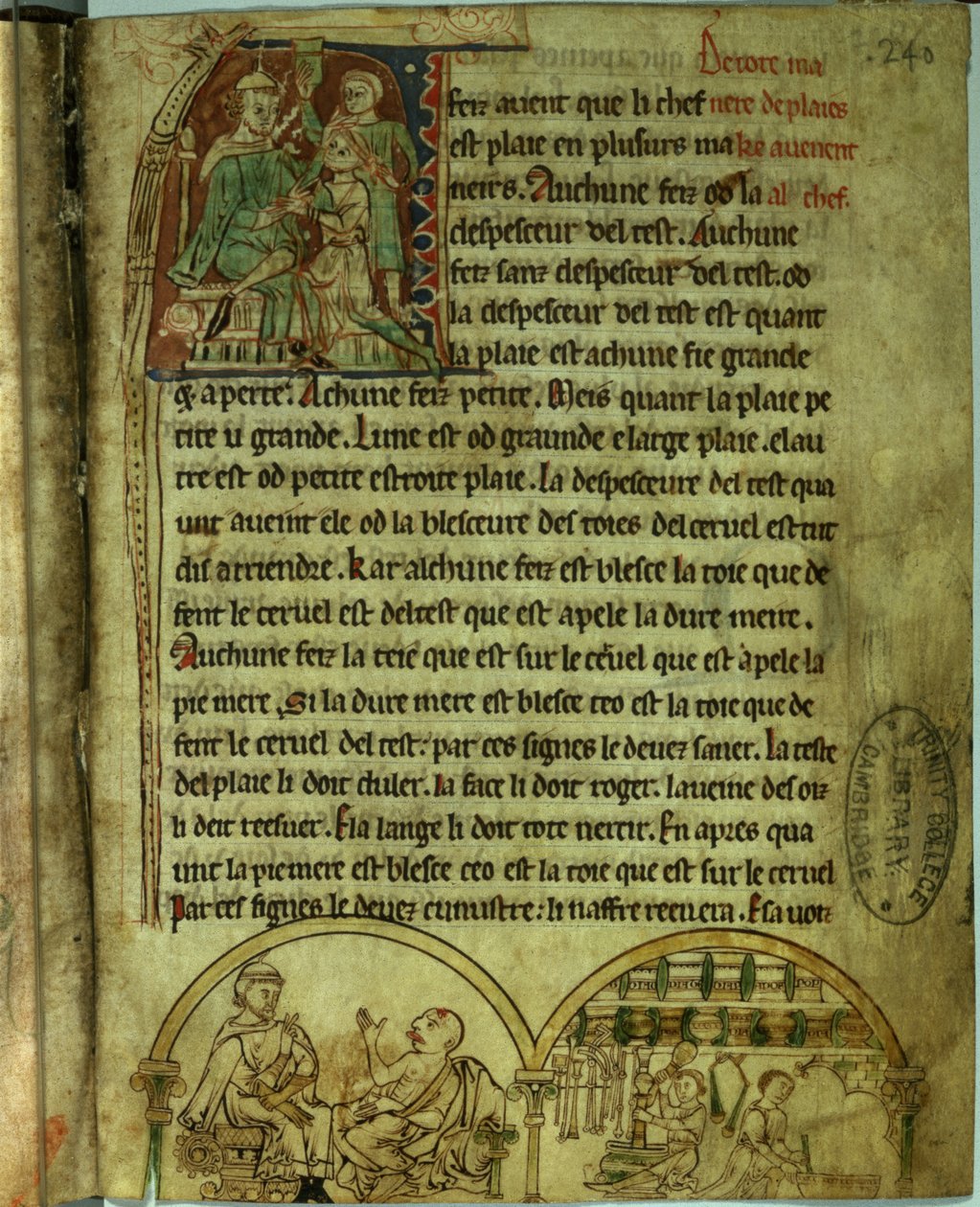 Ms.O.1.20.f.241v Jerome: En läkare som besöker en patient och ett apotek, från 