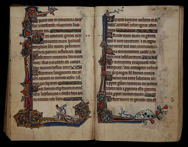 Ms 1-2005, ff.115v-116r: jakt på kanin som rider på en hund, marginaldekoration från Macclesfield Psalter, Use of Sarum, East Anglia, c.1330 (vellum) av English School