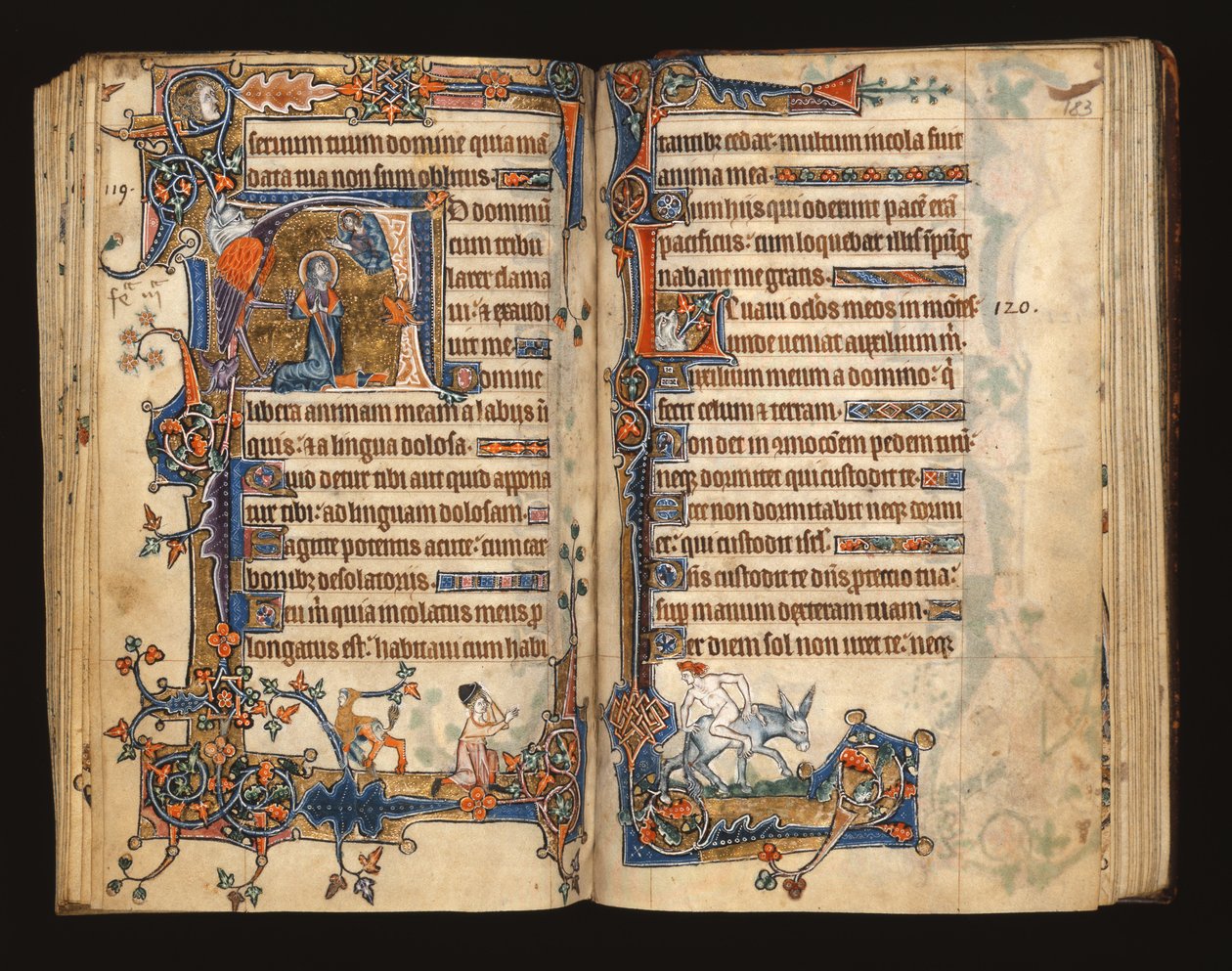 Ms 1-2005, ff.182v-183r: David ber, historisk initial från Macclesfield Psalter, Use of Sarum, East Anglia, ca 1330 av English School