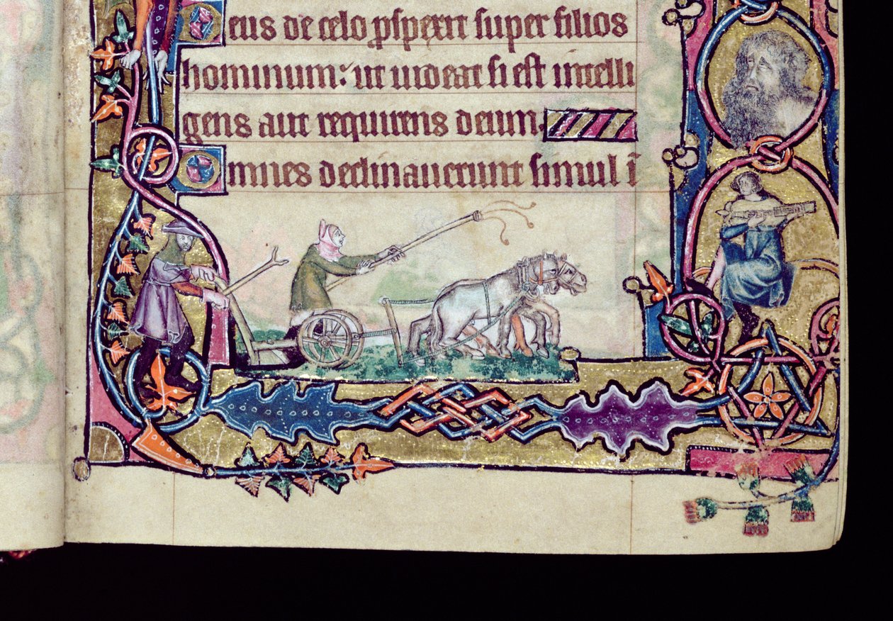 Ms 1-2005, ff.76v-77r: David och dåren, historisk initial från Macclesfield Psalter, Use of Sarum, East Anglia, c.1330 (vellum) (detalj av 276994) av English School
