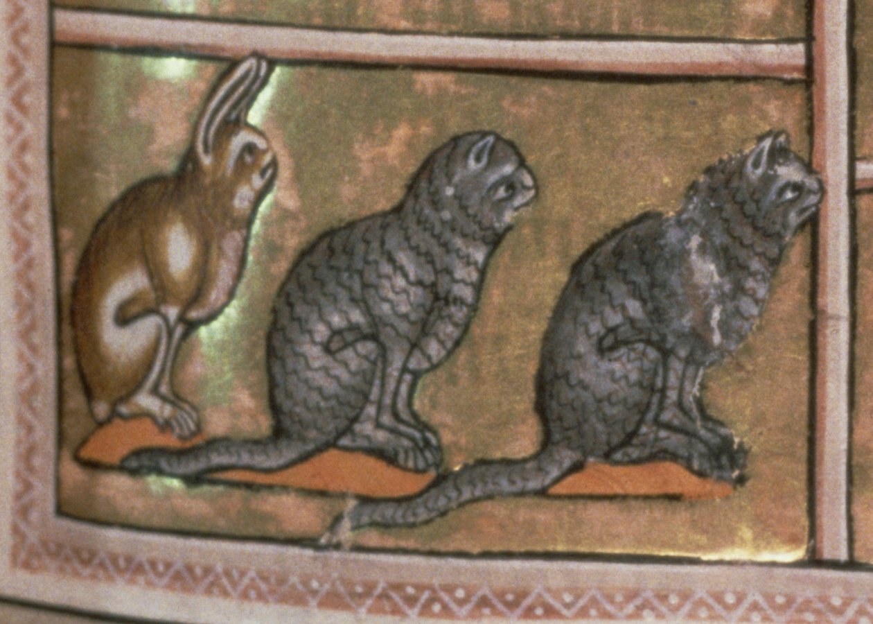 Ms 24 f.5 Adam som namnger djuren, av North Midlands ursprung, från Aberdeen Bestiary (vellum) (detalj av 52593) av English School
