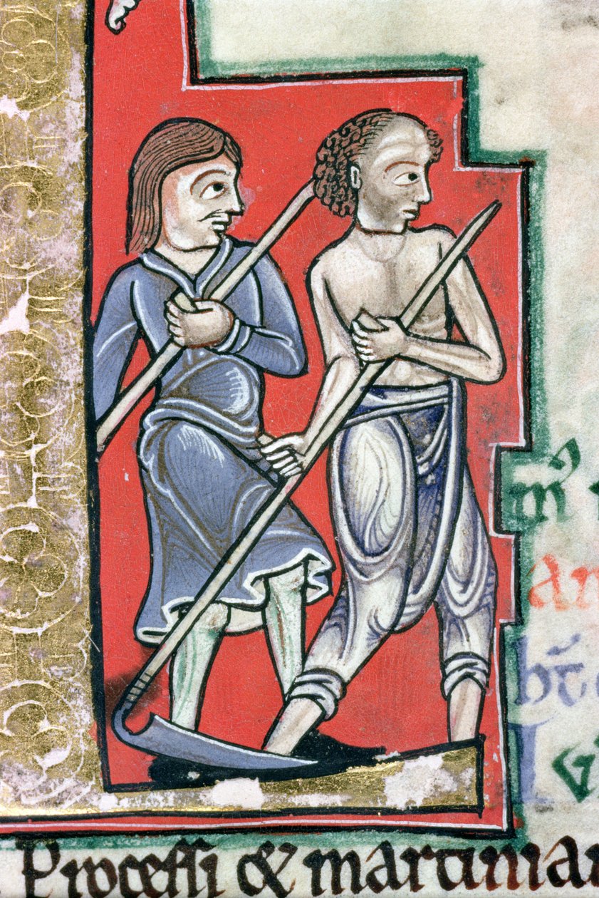 Ms Hunter 229 f.4r Mowing, från Hunterian Psalter, c.1170 (penna & bläck och tempera på veläng) (detalj) av English School