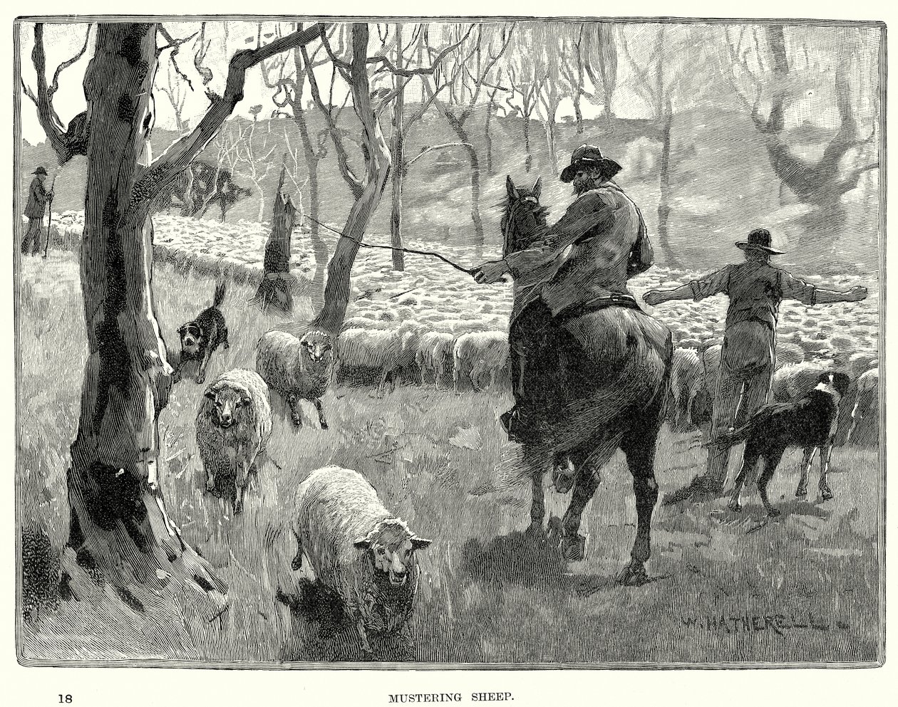 Mustering av får (gravyr) av English School
