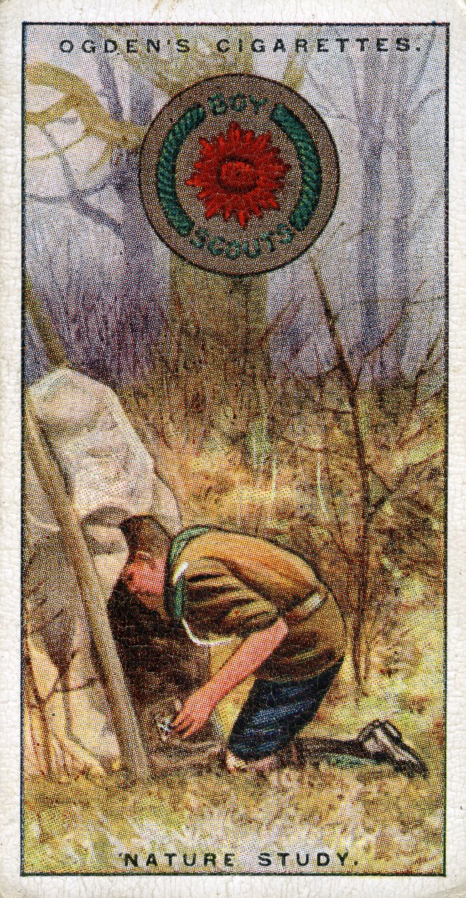 Naturstudiemärke för scouter, scout på väg in i en gömma, 1929 av English School