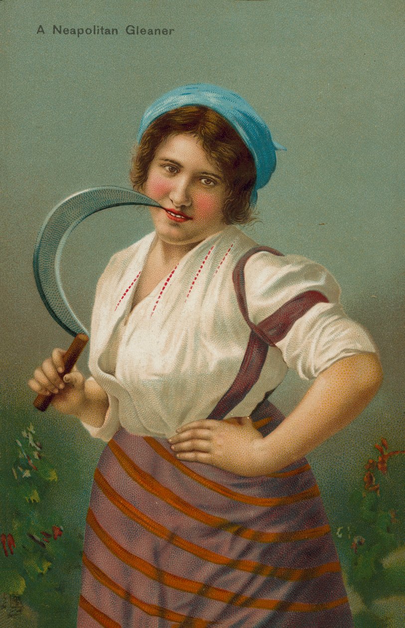 Neapolitansk snapphane (chromolitho) av English School