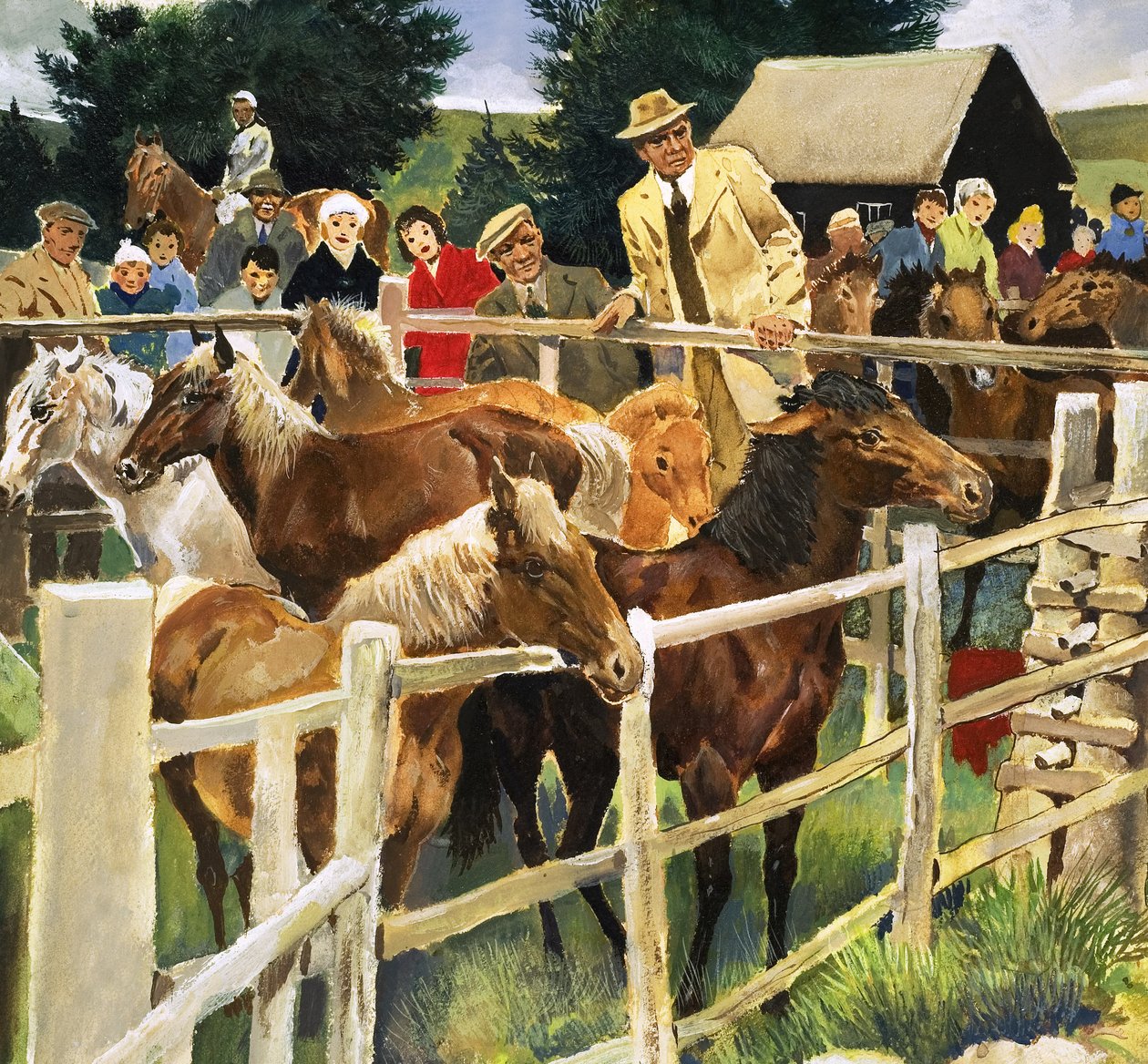 New Forest Ponies till salu, illustration från "Naturens underverk av English School