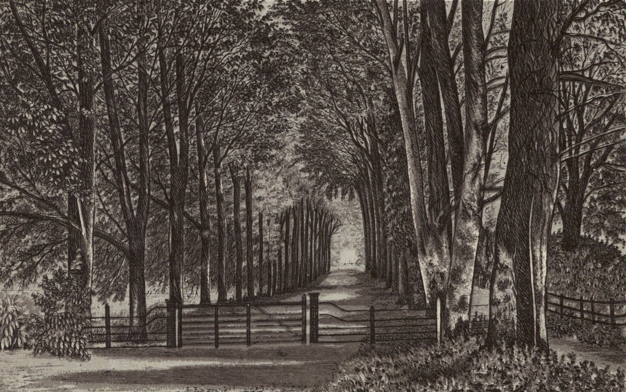 Newbury: Avenue, Highclere Park (litografi) av English School