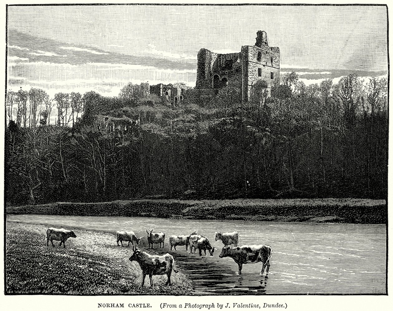Norham Castle (gravyr) av English School